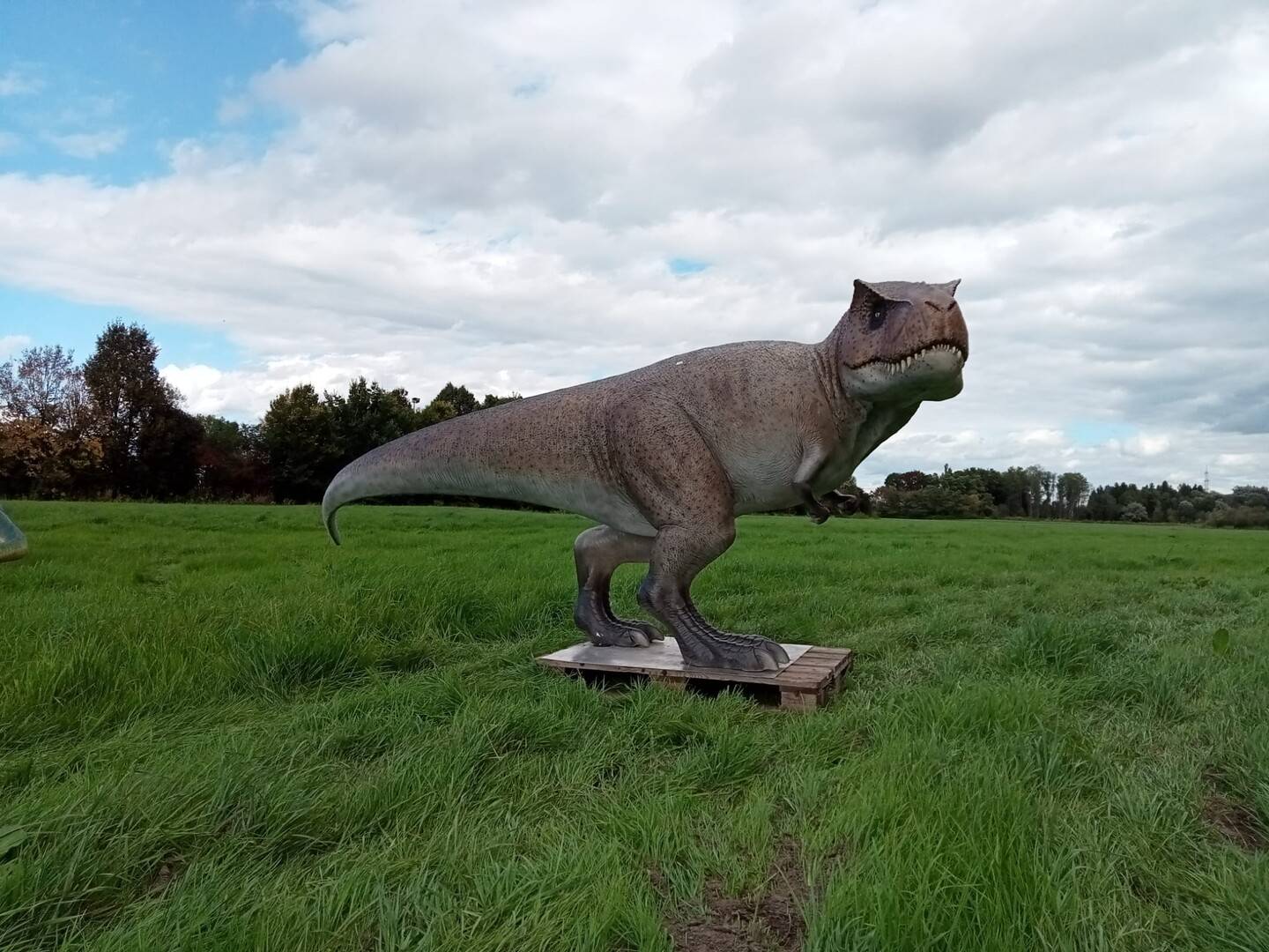 Ihr Onlineshop für Werbe-, Haus- & Gartendekoration 7 IMG 20230517 WA00121