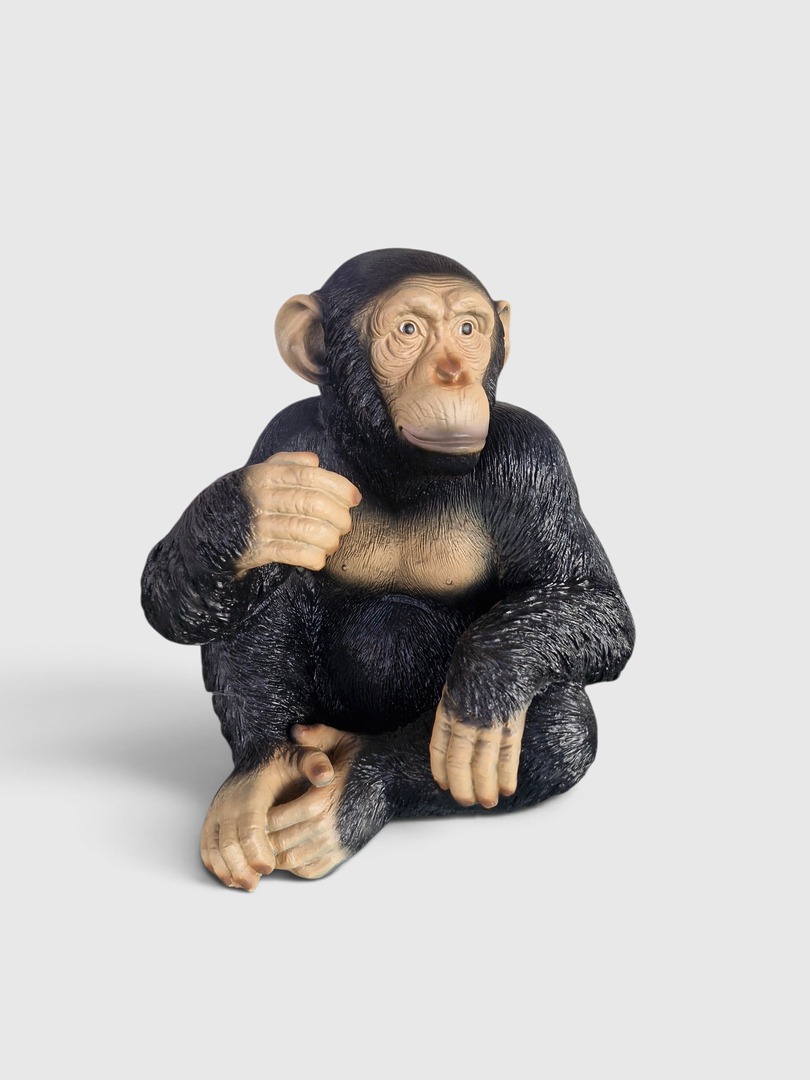Lebensgroße Schimpanse Deko Figur sitzend, ca. 50 cm hoch, realistische Affenstatue.