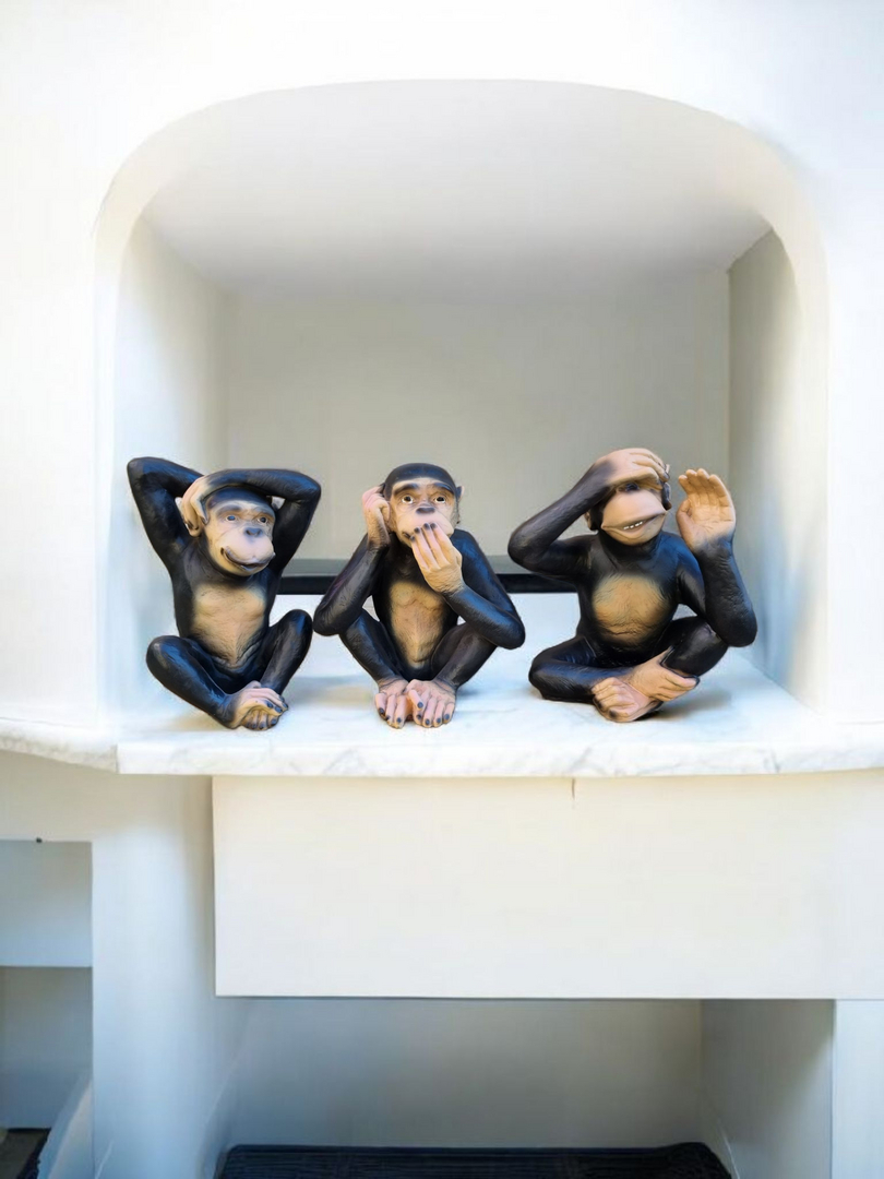 Affen 20250401 123004 11