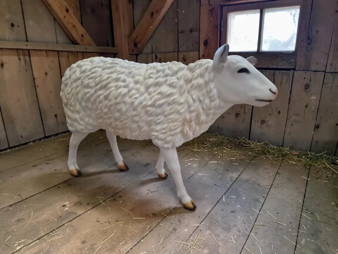 Schaf Lebensgroße Deko Figur XXL: Gartenfigur oder Werbefigur. Dekoration Schaf.