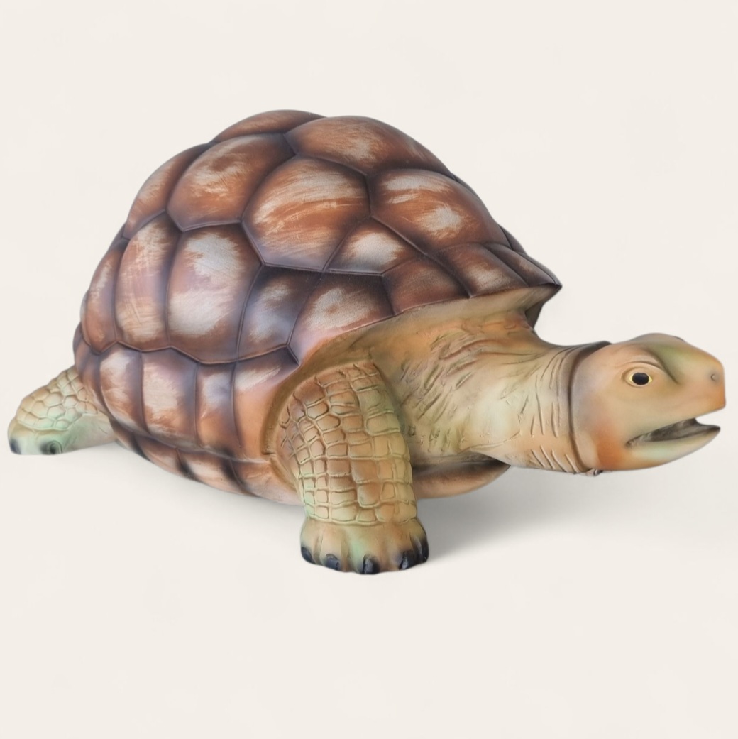 Schildkröte Eine große, dekorative Schildkröte.