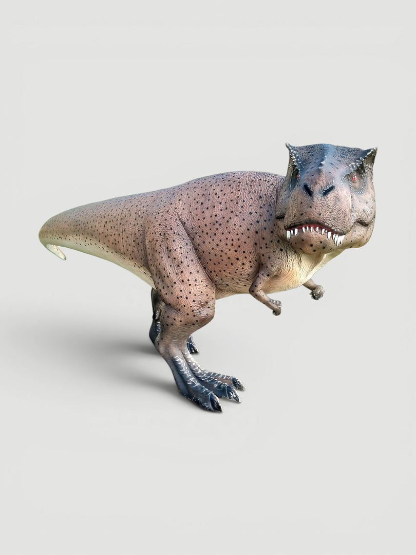Lebensgroßer Dinosaurier Tyrannosaurus Rex Dino 350 cm Groß 1 Lebensgroßer Tyrannosaurus Rex Dinosaurier, 350 cm groß, realistische Nachbildung