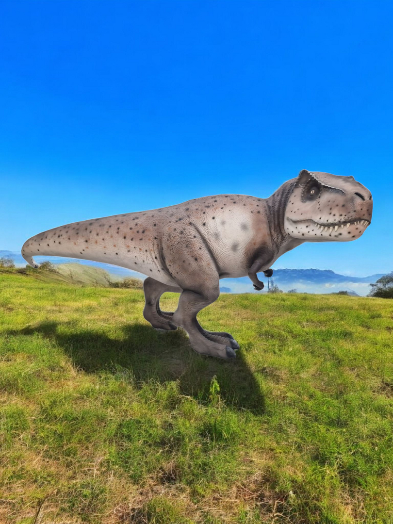 Rex img 20240123 wa00411