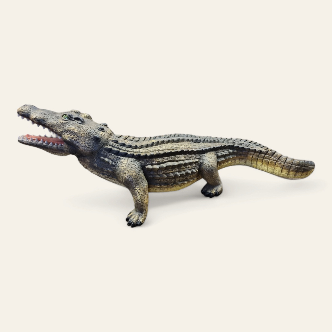 Krokodil photoroom 20240219 175202