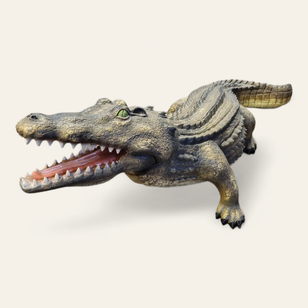 Krokodil photoroom 20240219 175231