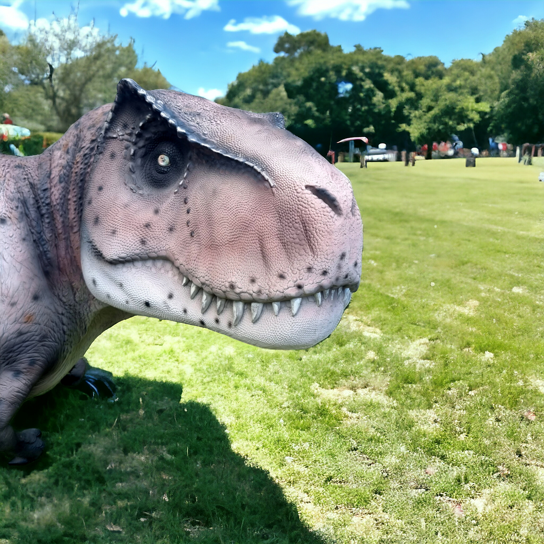 Rex photoroom 20240219 180326