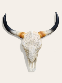 Bullenschädel wand deko figur bei shop.garten-fantasy.de