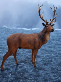 Lebensgroße deko Figuren de Hirsch wald Tier bei shop.garten-fantasy.de