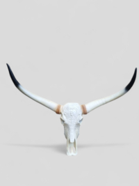 Wohnung Deko Bullenschädel wand Dekoration bei shop.garten-fantasy.de